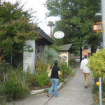 Pork, Catfish, and Bluegrass in Chapel Hill