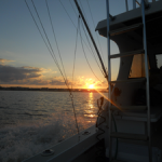 Gone Fishin’ in Stuart, Florida