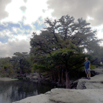 McKinney Falls: What Lays Beyond Austin